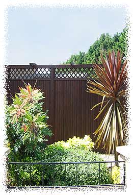 Webbs Forest Furniture 01